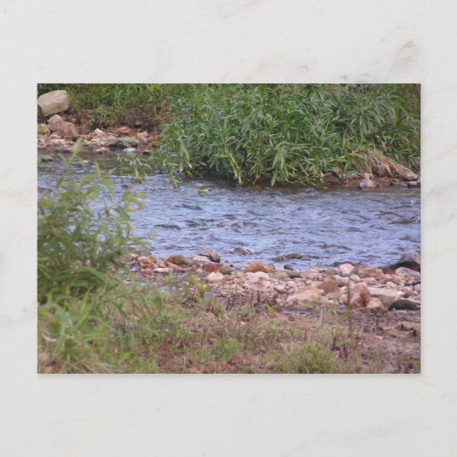 Carte postale Bubbling Creek (Devant)