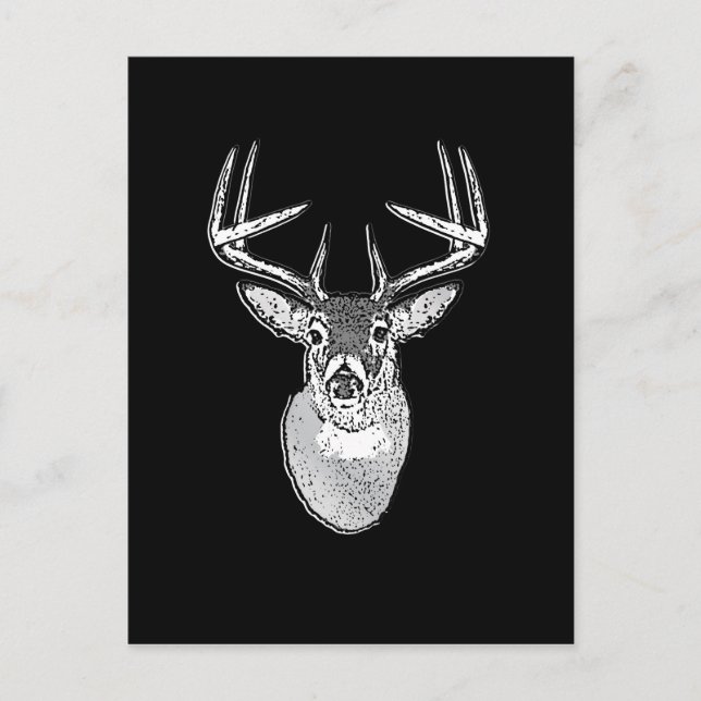 Carte Postale Buck Buck White Tail Deer classique (Devant)