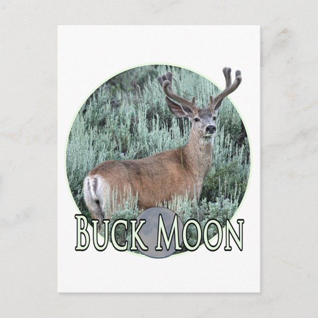 Carte Postale Buck moon (Devant)