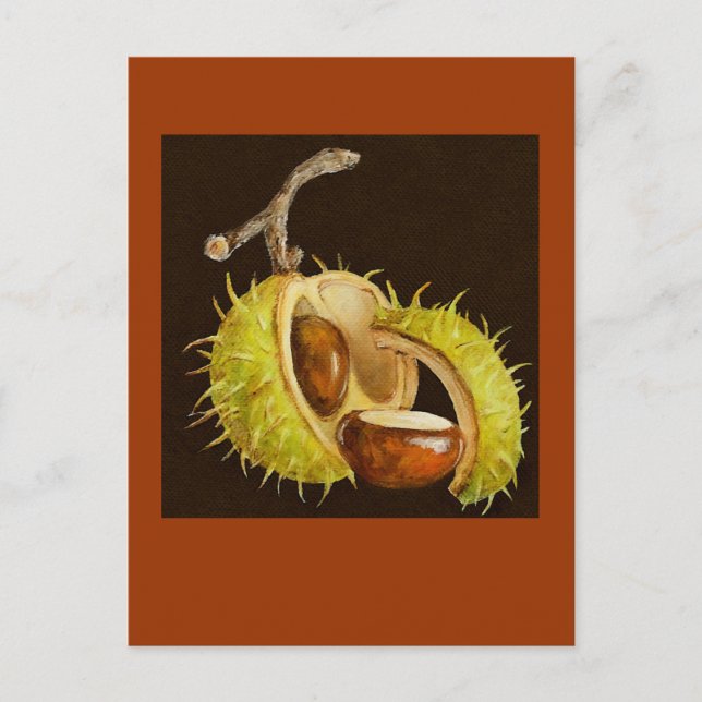 carte postale buckeye (Devant)