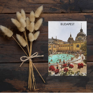 Carte Postale Budapest Hongrie Széchenyi Thermes