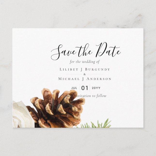 Carte Postale BUDGET Hiver Eucalyptus Pine Cônes Mariage (Devant)