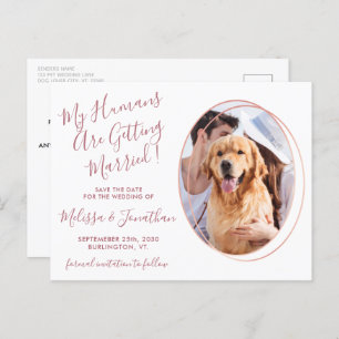 Carte Postale Budget Mariage Pet Photo Rose Or Enregistrer La Da