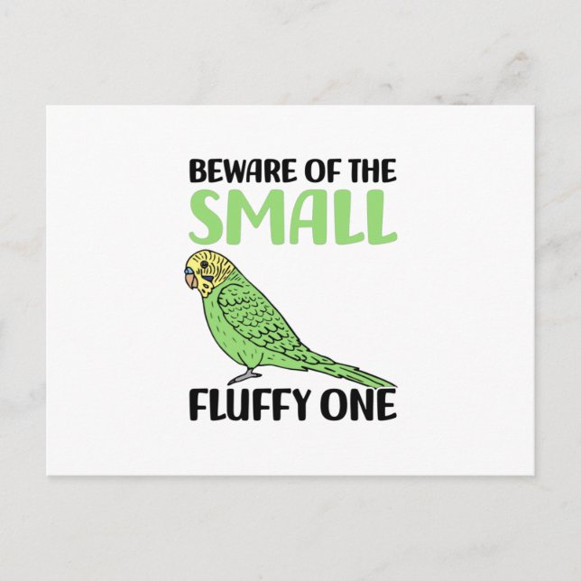 Carte Postale budgie (Devant)