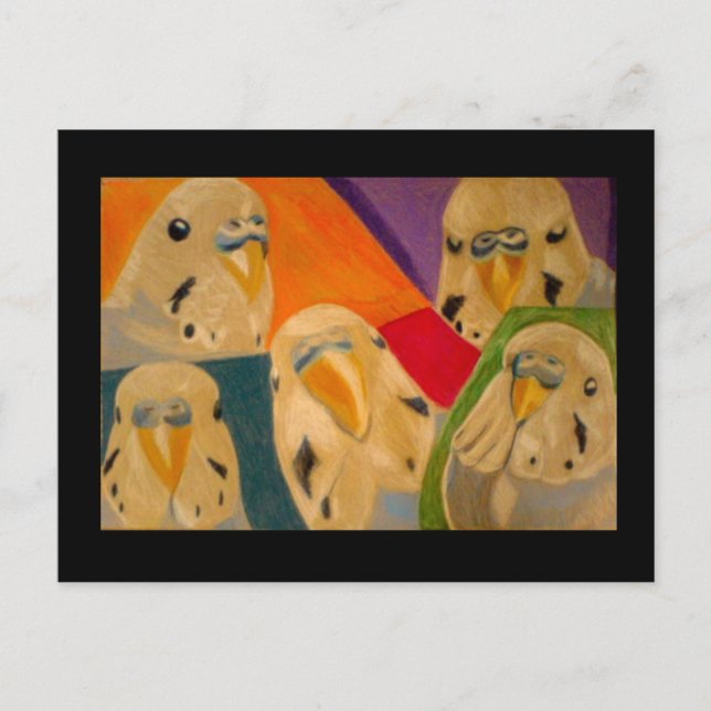 Carte Postale Budgie Budgerigar (Devant)