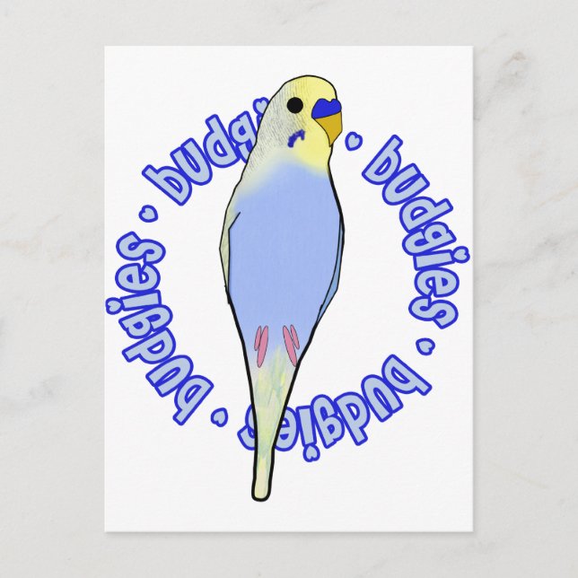 Carte Postale Budgies Budgies (Devant)