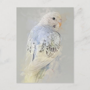 Carte postale Budgies No.7