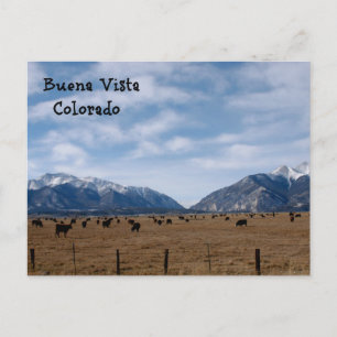 Carte Postale Buena Vista, CO