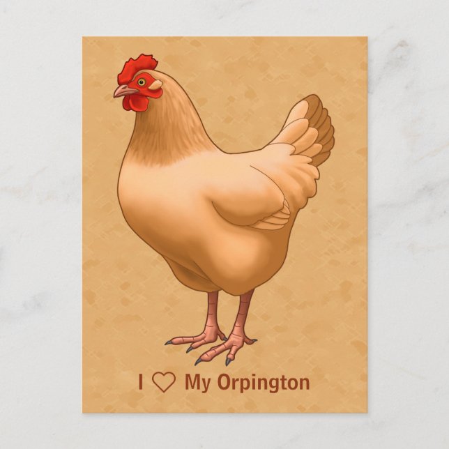 Carte Postale Buff Orpington Poulet Hen (Devant)