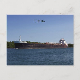 Carte postale Buffalo