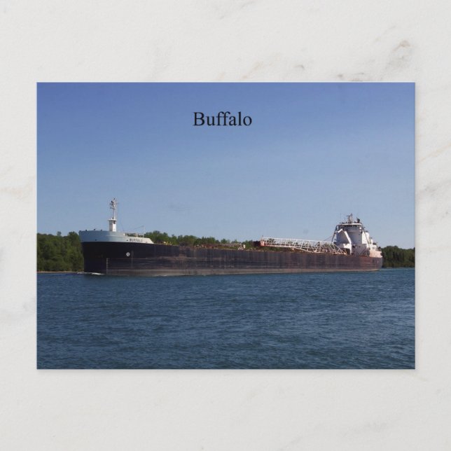 Carte postale Buffalo (Devant)