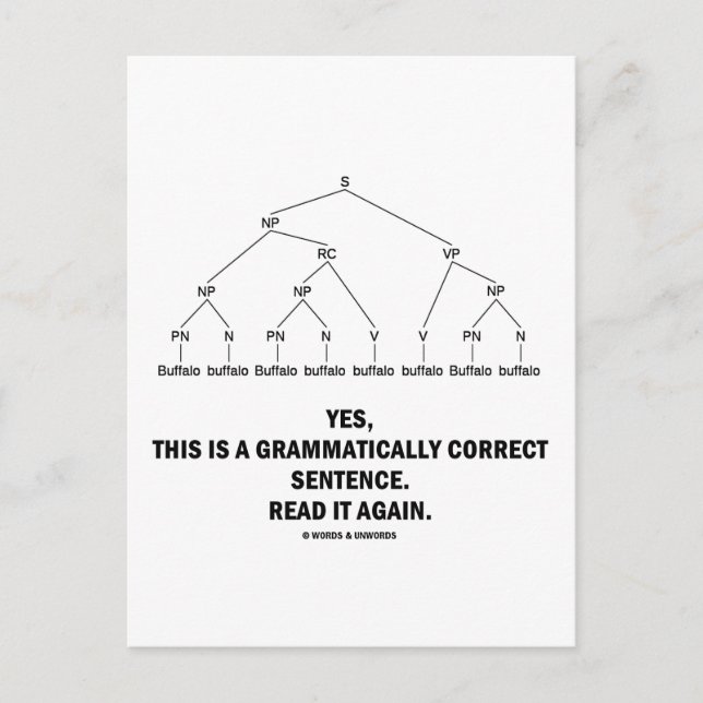 Carte Postale Buffalo (8 Fois) Correction Grammatique De La Pein (Devant)