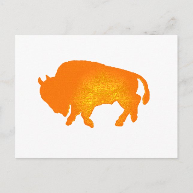 Carte Postale Buffalo Sun (Devant)
