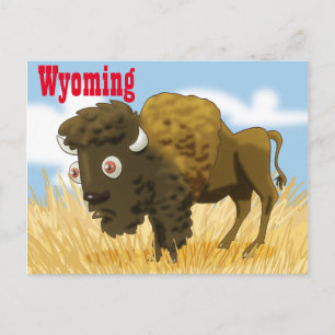 Carte Postale Buffle du Wyoming