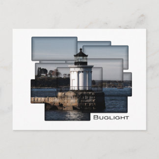 Carte Postale Bug Light Painting