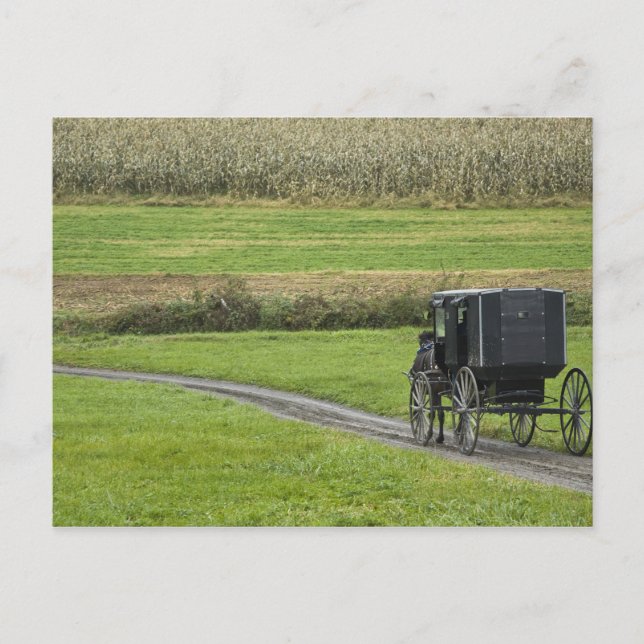 Carte Postale Buggy Amish sur la voie ferrée, dans le nord-est d (Devant)
