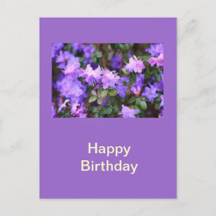 Carte Postale buisson à fleurs d'azalée