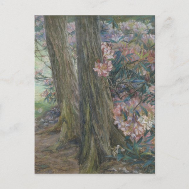 Carte Postale Buisson de rhododendron de Clara Voortman dans un  (Devant)