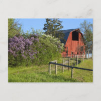 Buissons de lilas en fleurs et pies dans les arbre