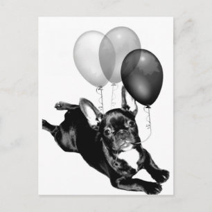 Carte postale Buldog française heure de fête