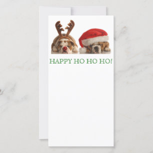 Carte postale Buldogs de Noël