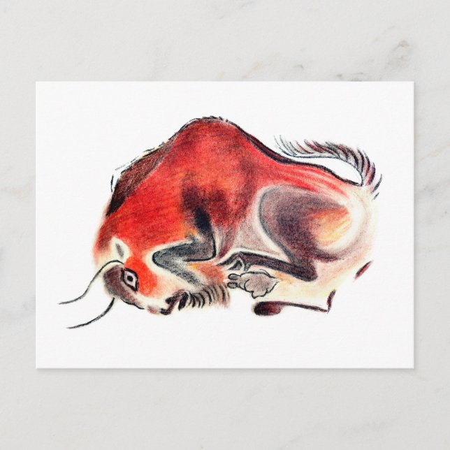 Carte Postale Bull (Devant)