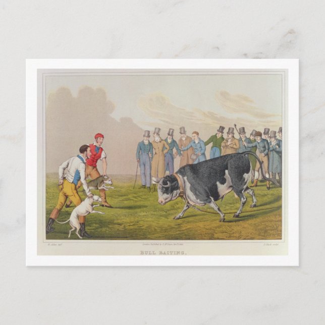 Carte Postale 'Bull Baiting', pub.de Thomas McLean, 1820, (impri (Devant)