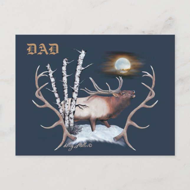Carte postale Bull Elk (Devant)