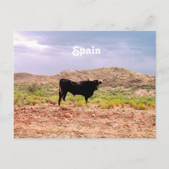 Carte Postale Bull en Espagne (Devant)