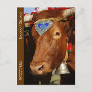 Carte Postale Bull et bell