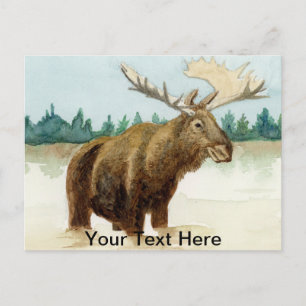 Carte Postale Bull Moose