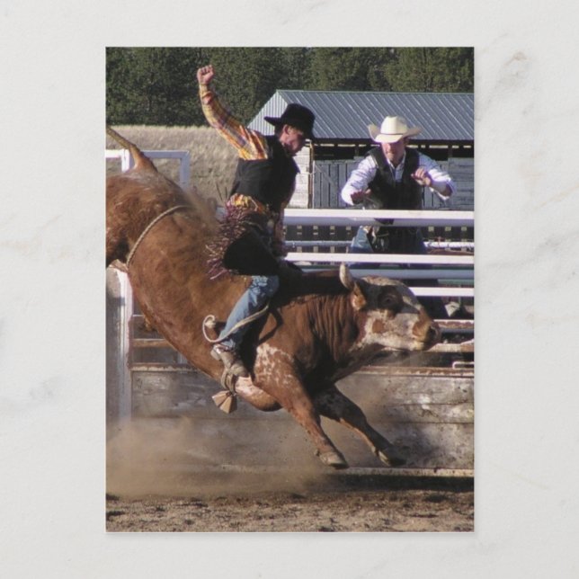 Carte Postale Bull Rider Extreme (Devant)