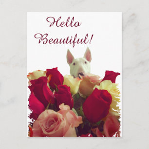 Carte Postale Bull terrier avec salutation rose - Hello Beautifu