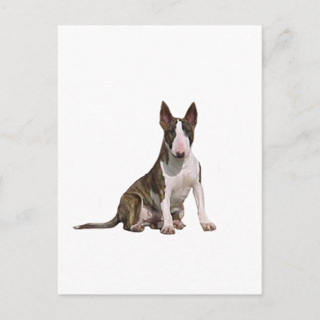 Carte Postale Bull Terrier (B) - Brindle et blanc (Devant)
