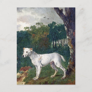 Carte Postale Bull Terrier Painting
