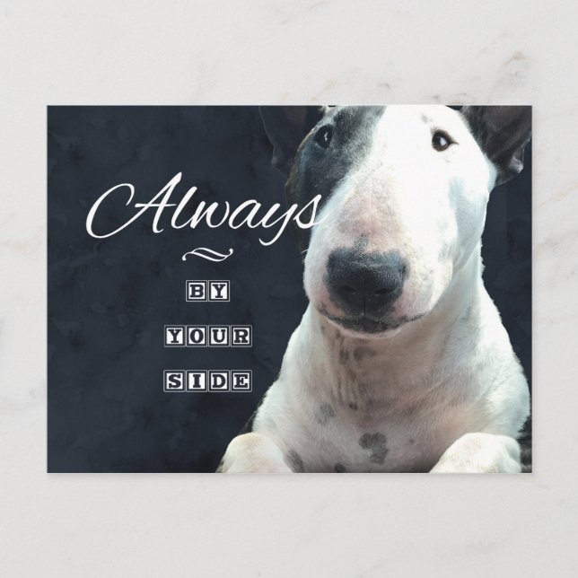 Carte postale Bull Terrier "Toujours à vos côtés" (Devant)