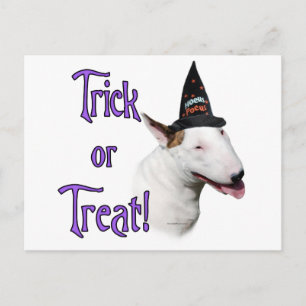 Carte Postale Bull Terrier Trick
