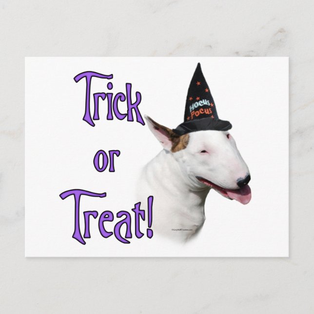 Carte Postale Bull Terrier Trick (Devant)