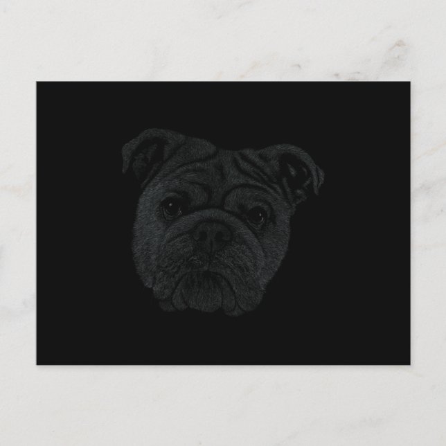 Carte Postale Bulldog (Devant)