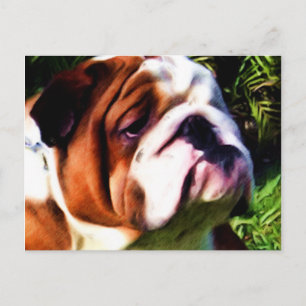 Carte postale Bulldog anglais