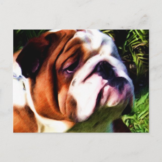 Carte postale Bulldog anglais (Devant)