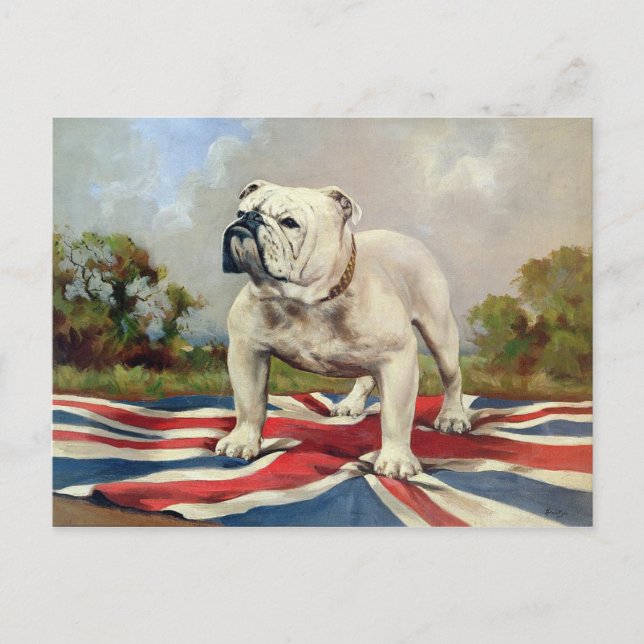 Carte Postale Bulldog britannique (Devant)
