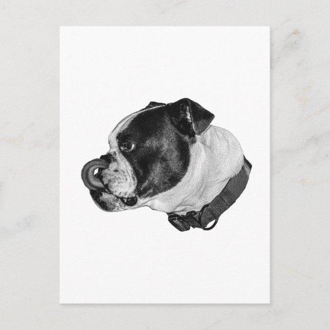 Carte Postale Bulldog Calm Mail (Devant)