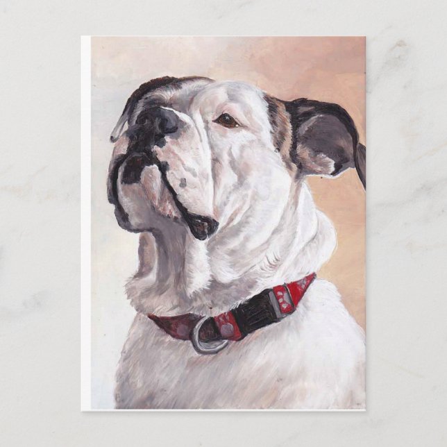 Carte postale Bulldog Chien (Devant)