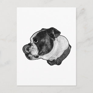 Carte postale Bulldog langue tirée
