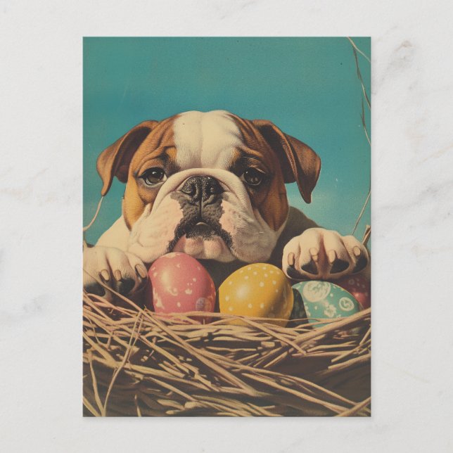 Carte Postale Bulldog Pâques Vintage (Devant)