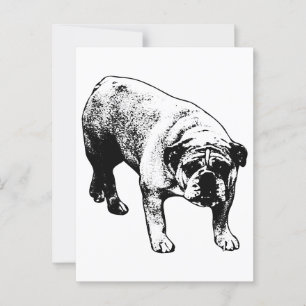 Carte Postale Bulldog par la poste