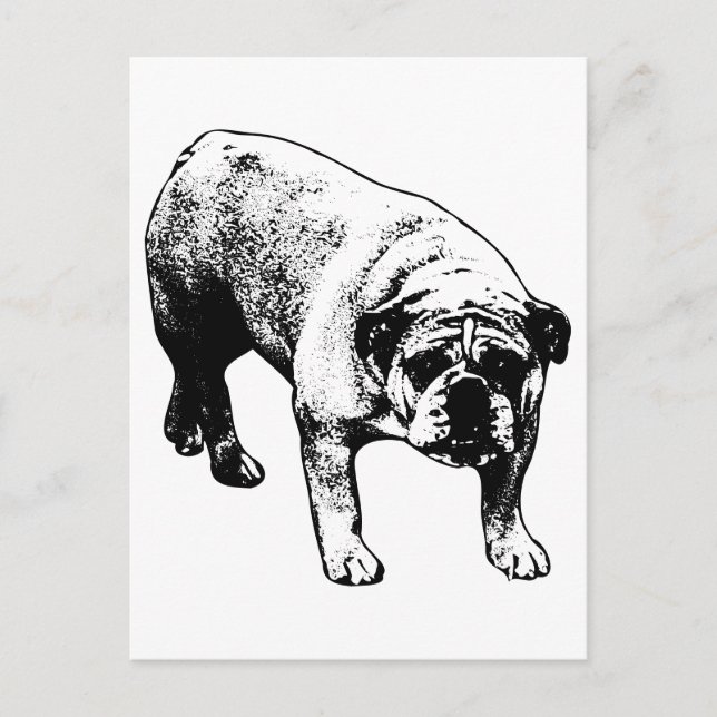 Carte Postale Bulldog par la poste (Devant)