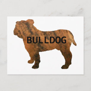 Carte Postale bulldog red brindle nom silo