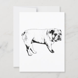Carte postale Bulldog Snow-Hello